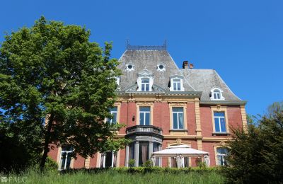 Château à vendre Liège, Verviers, Theux, La Reid, Wallonie, Image 1/33