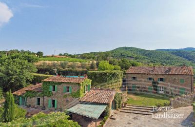 Maison de campagne à vendre Arezzo, Toscane, RIF 2993 Blick auf Anwesen 