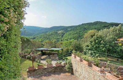 Maison de campagne à vendre Arezzo, Toscane, RIF 2993 Panoramablick