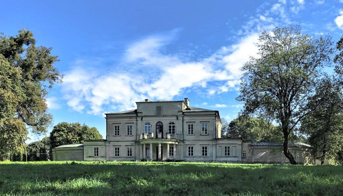 Château à vendre Dołhobyczów, Voïvodie de Lublin,  Pologne