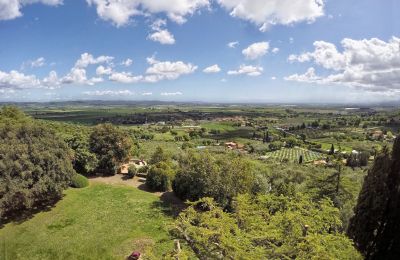 Villa historique à vendre Campiglia Marittima, Toscane, Jardin