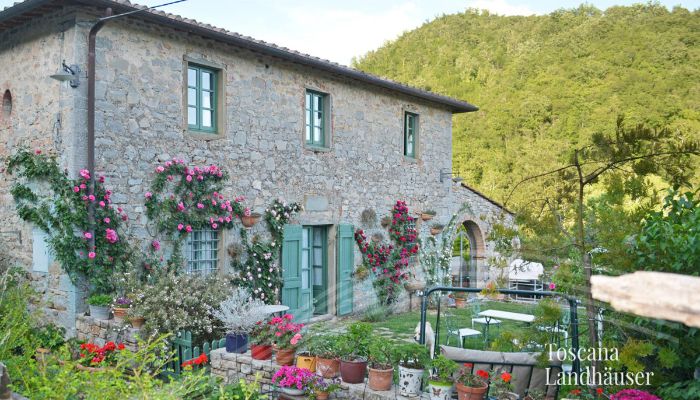 Maison de campagne Gaiole in Chianti 4