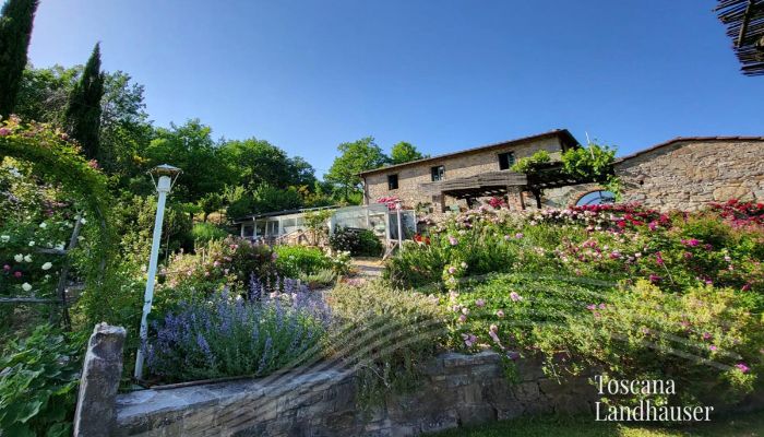 Maison de campagne Gaiole in Chianti 2