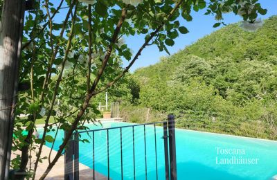 Maison de campagne à vendre Gaiole in Chianti, Toscane, RIF 3003 Weg zum Pool