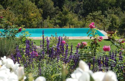 Maison de campagne à vendre Gaiole in Chianti, Toscane, RIF 3003 Pool