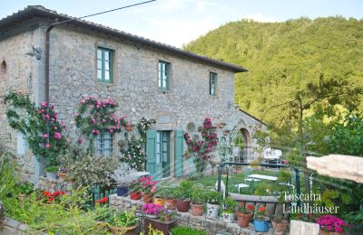 Maison de campagne à vendre Gaiole in Chianti, Toscane, RIF 3003 Ansicht