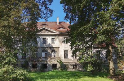 Château à vendre Karczewo, Grande-Pologne, Parc