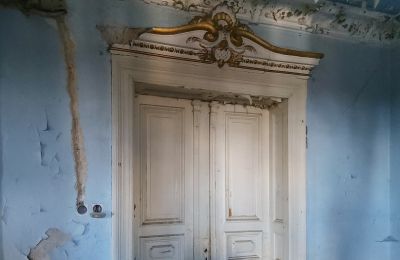 Villa historique à vendre Lubsko, Milosza 2, Lubusz, Détails