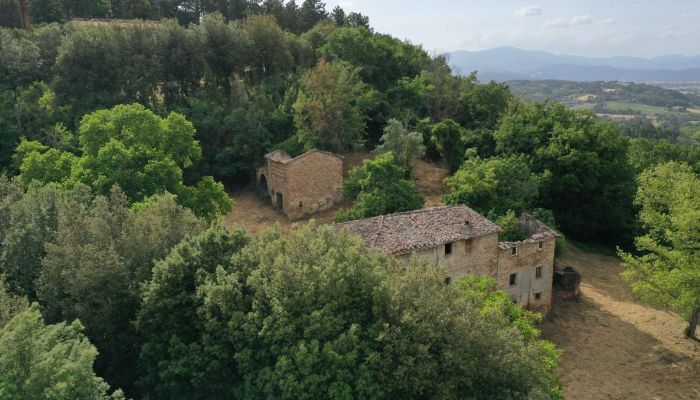 Ferme Città di Castello 2