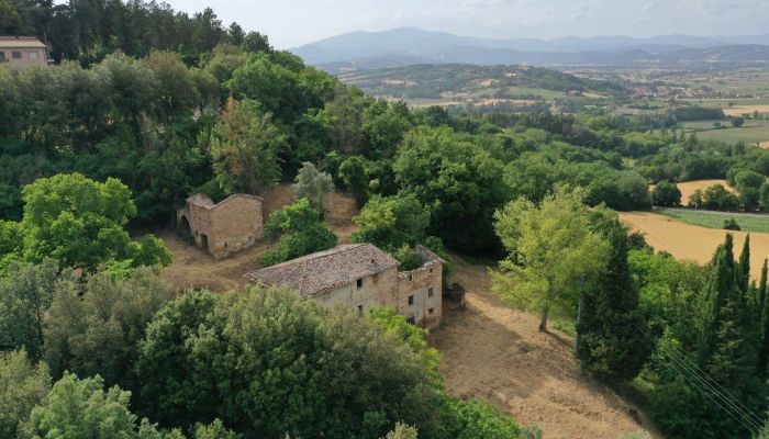 Ferme Città di Castello 4