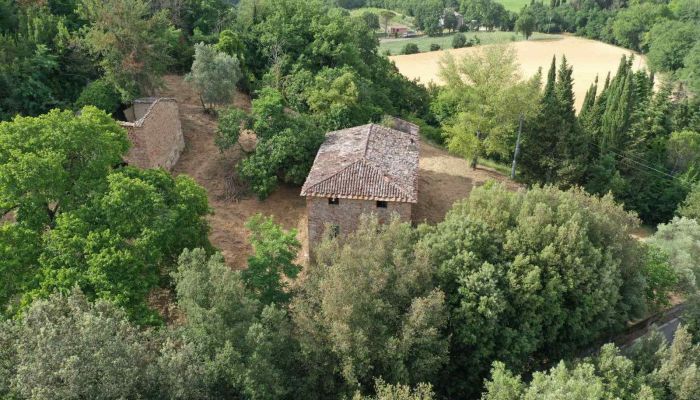 Ferme Città di Castello 5