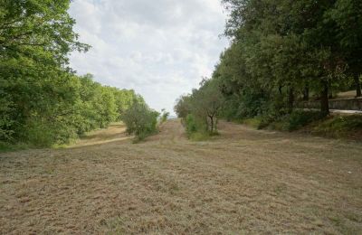 Ferme à vendre Città di Castello, Ombrie, Image 12/23