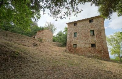 Ferme à vendre Città di Castello, Ombrie, Image 15/23