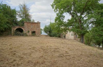 Ferme à vendre Città di Castello, Ombrie, Image 18/23