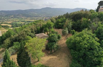 Ferme à vendre Città di Castello, Ombrie, Image 3/23