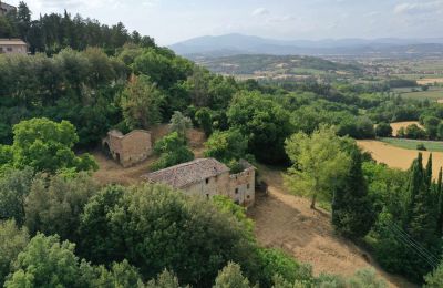 Ferme à vendre Città di Castello, Ombrie, Image 4/23