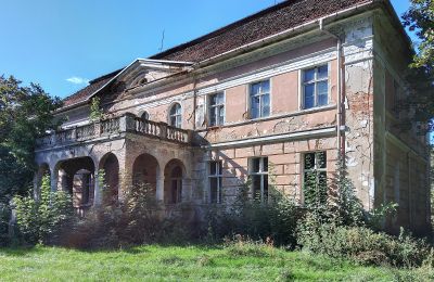 Château à vendre Granówko, Grande-Pologne, Image 15/16