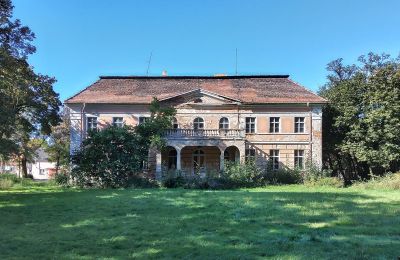 Château à vendre Granówko, Grande-Pologne, Vue de l'arrière