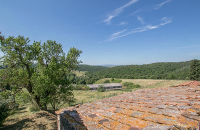 Ferme à vendre Asciano, Toscane, RIF 2982 Blick auf Landschaft