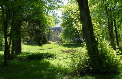 Château à vendre Trzcinno, Trzcinno 21, Poméranie, Parc