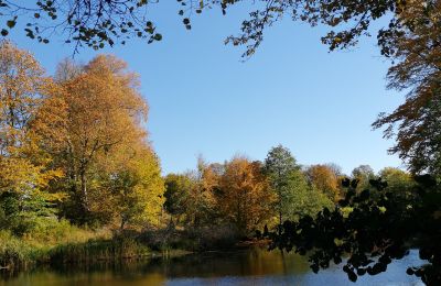 Château à vendre Trzcinno, Trzcinno 21, Poméranie, Lac/étang