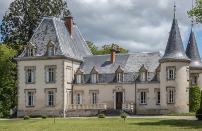 Château à vendre Bourgogne-Franche-Comté, Vue extérieure