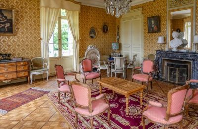 Château à vendre Bourgogne-Franche-Comté, Salon