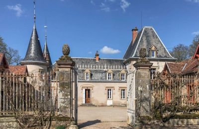 Château à vendre Bourgogne-Franche-Comté, Entrée