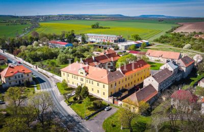 Château à vendre Cítoliby, Zamek Cítoliby, Ústecký kraj, Photo Drone