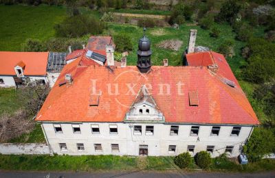 Château à vendre Brody, Zámek Brody, Ústecký kraj, Toit