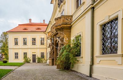 Château à vendre Mirošov, Zámek Mirošov, Plzeňský kraj, Image 27/30