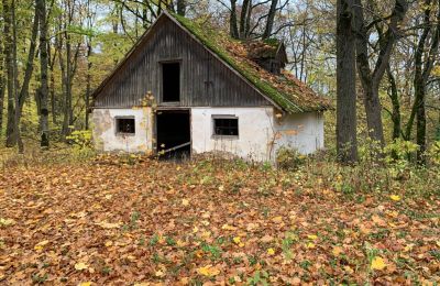 Manoir à vendre Saulaine, Kaucmindes muiža, Zemgale, Dépendance