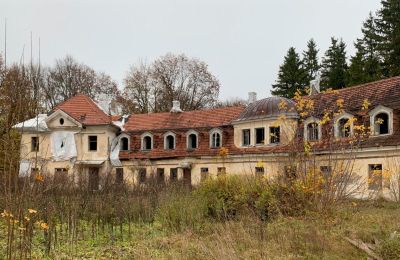 Manoir à vendre Saulaine, Kaucmindes muiža, Zemgale, Image 7/33