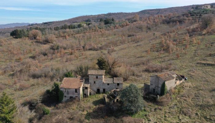 Ferme Umbertide 3