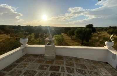 Ferme à vendre Ostuni, Strada Provinciale 21, Pouilles, Image 24/25