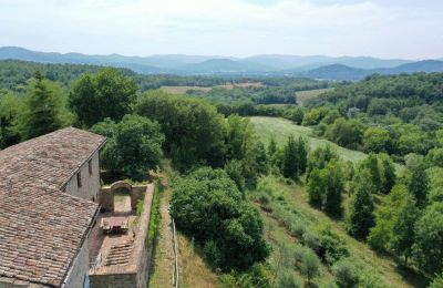 Ferme à vendre Promano, Ombrie, Image 19/21