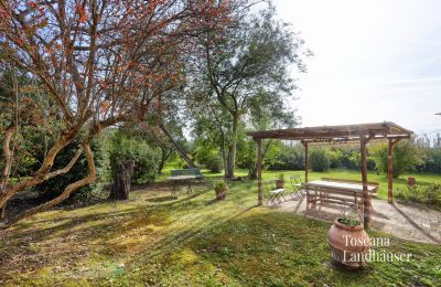 Maison de campagne à vendre Castagneto Carducci, Toscane, RIF 3057 Pergola