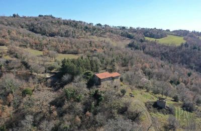 Ferme à vendre 06019 Preggio, Ombrie, Image 13/30