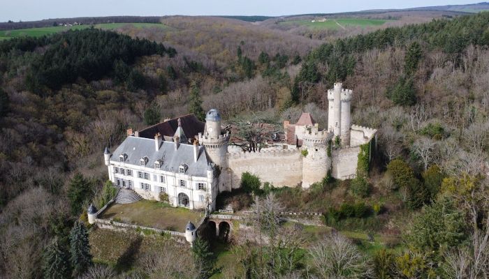 Château à vendre Veauce, Auvergne-Rhône-Alpes,  France