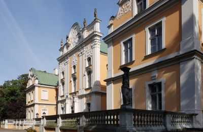 Château à vendre Czempiń, Grande-Pologne, Image 4/12