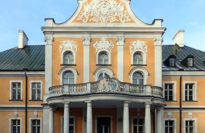 Château à vendre Czempiń, Grande-Pologne, Image 11/12