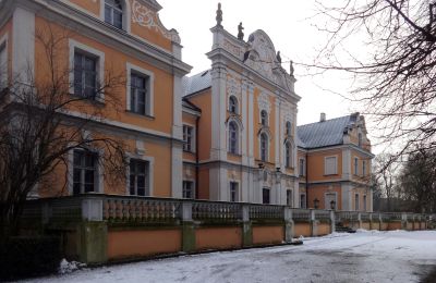 Château à vendre Czempiń, Grande-Pologne, Vue frontale