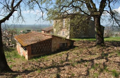 Ferme à vendre Siena, Toscane, RIF 3071 Blick auf Rustico