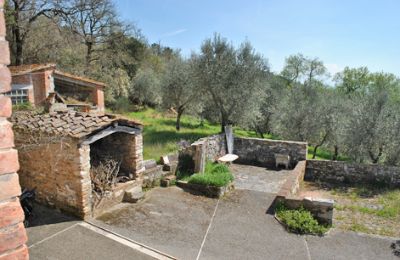 Ferme à vendre Siena, Toscane, RIF 3071 Terrasse