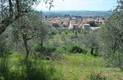 Ferme à vendre Siena, Toscane, RIF 3071 Ausblick