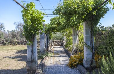 Villa historique à vendre Oria, Pouilles, Image 29/34