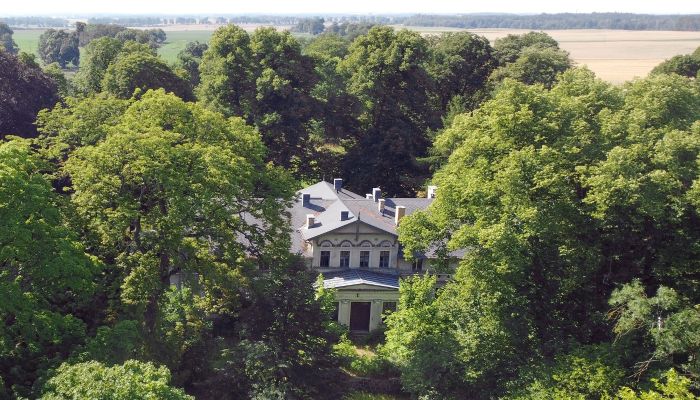 Château à vendre Stradzewo, Poméranie occidentale,  Pologne