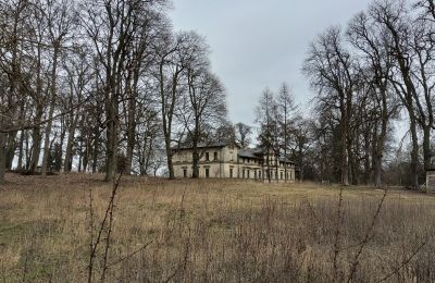 Château à vendre Stradzewo, Pałac w Stradzewie, Poméranie occidentale, Parc