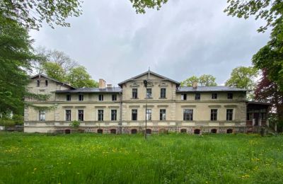 Château à vendre Stradzewo, Pałac w Stradzewie, Poméranie occidentale, Vue frontale