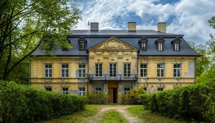 Château à vendre Nakło, Silésie,  Pologne